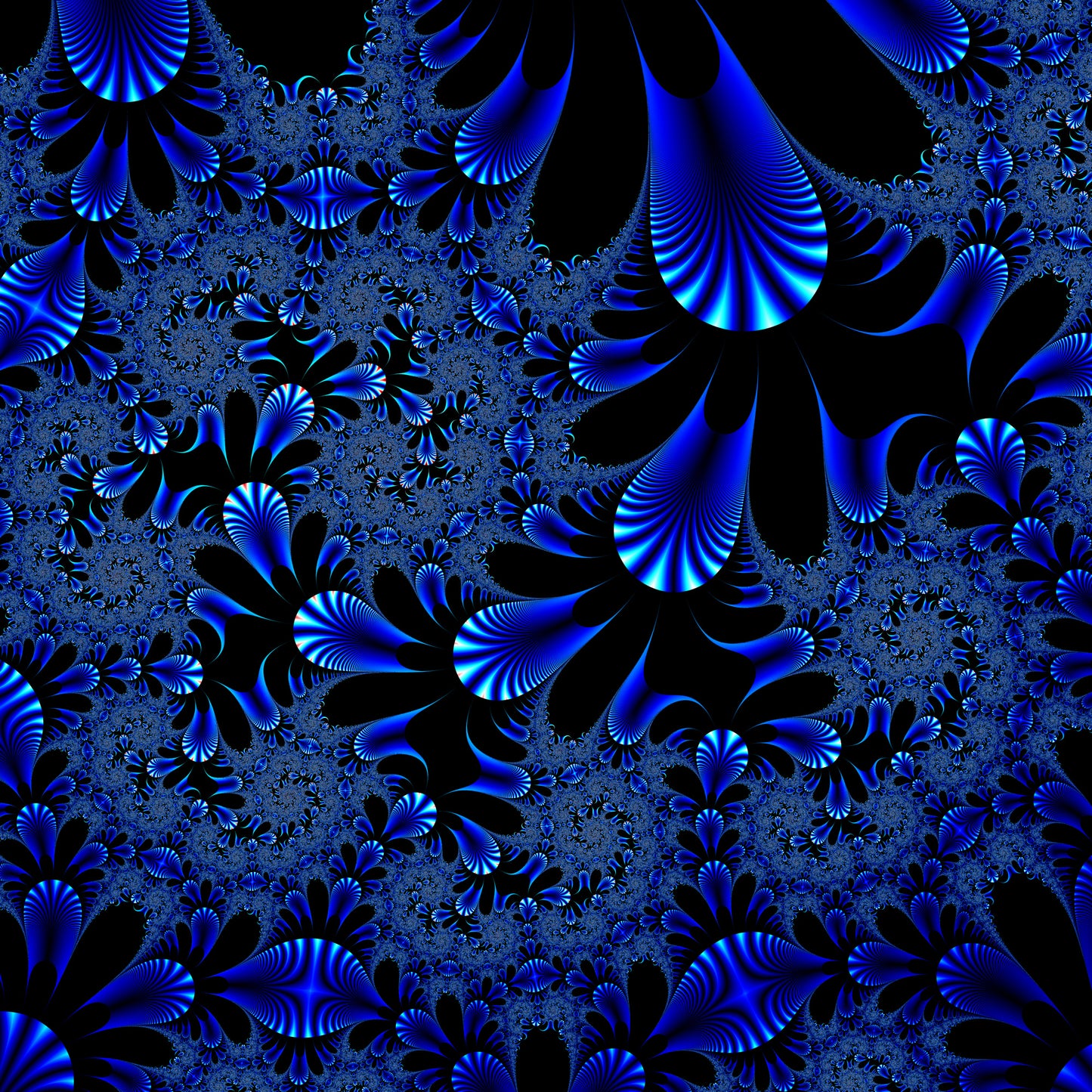 Blue Coral